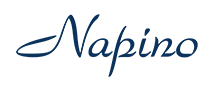 https://tokienterprises.in/wp-content/uploads/2021/05/napino_logo.png